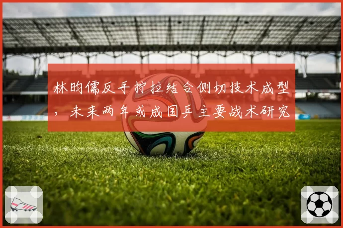 林昀儒反手拧拉结合侧切技术成型,未来两年或成国乒主要战术研究对象