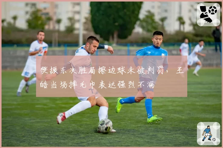 樊振东决胜局擦边球未被判罚，王皓当场摔毛巾表达强烈不满