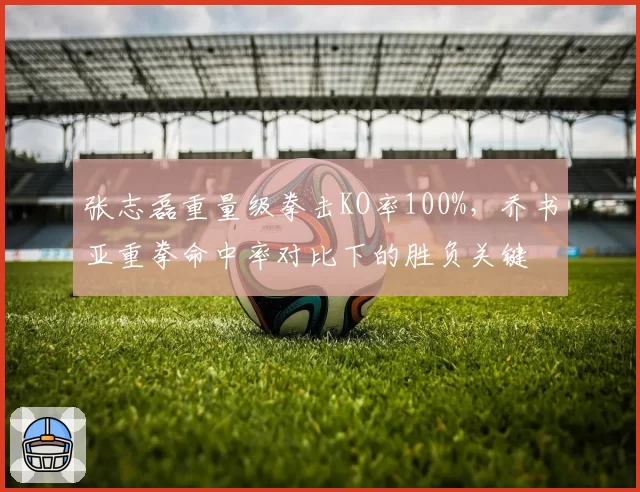 张志磊重量级拳击KO率100%,乔书亚重拳命中率对比下的胜负关键