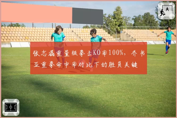 张志磊重量级拳击KO率100%，乔书亚重拳命中率对比下的胜负关键